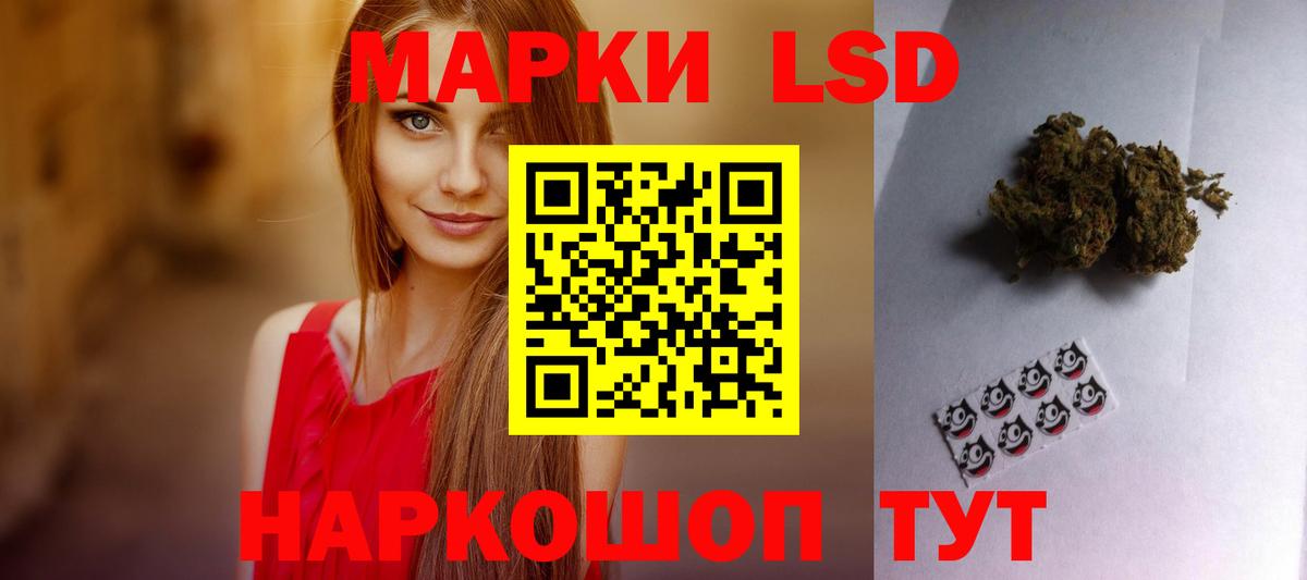 OMG сайт  LSD-25 экстази кислота  Новоалександровск  Вход с VPN  Лсд 25 экстази ecstasy 