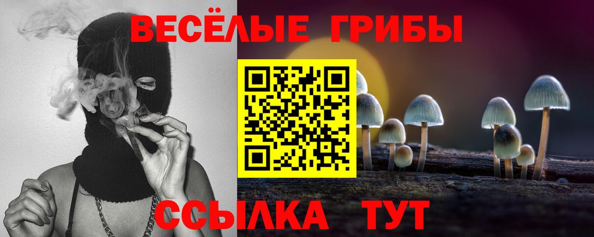 Галлюциногенные грибы GOLDEN TEACHER  купить  сайты  Новоалександровск  Вход с VPN 